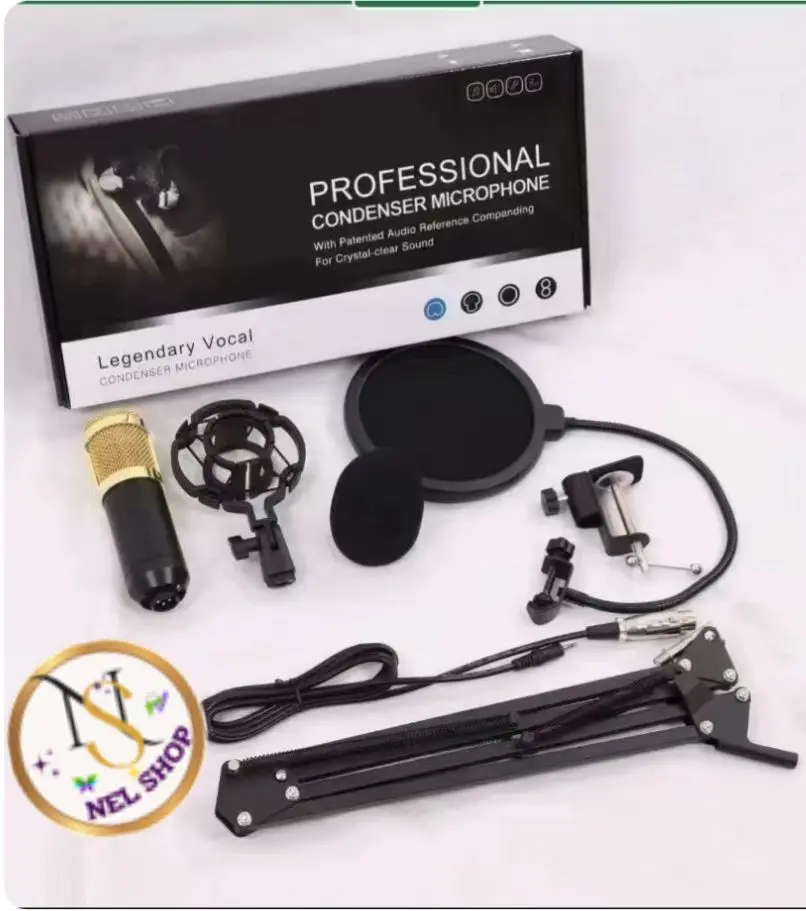 Professional Mic 