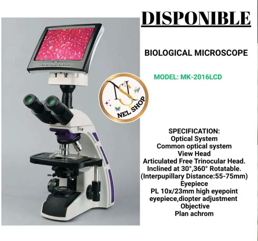 Microscope 
