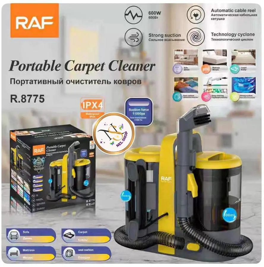 Portable carpet cleaner 
