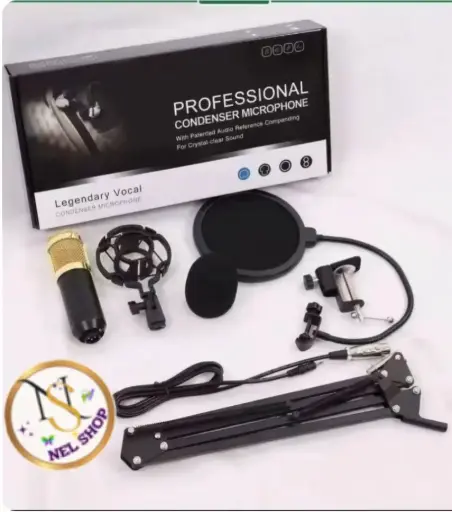 Professional Mic 